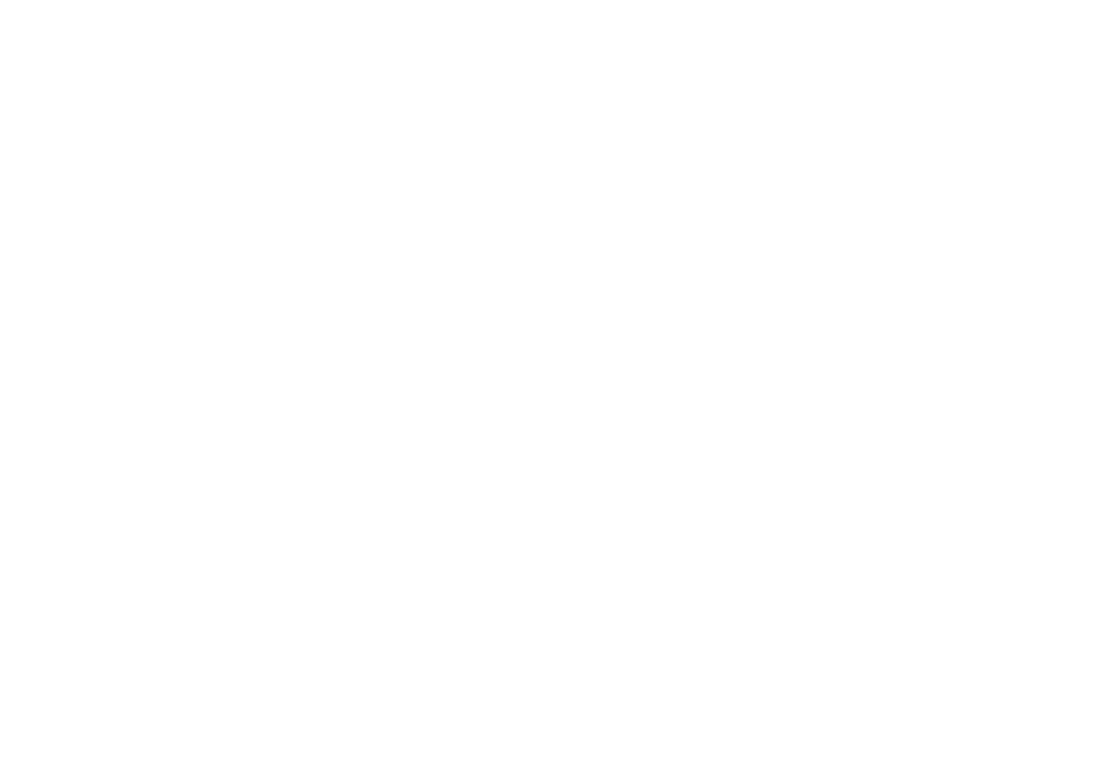 Liqui Moly